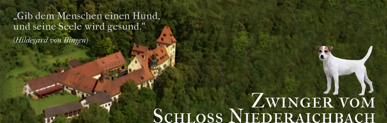 Zwinger vom Schloss Niederaichbach